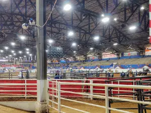 Lazy E Arena
