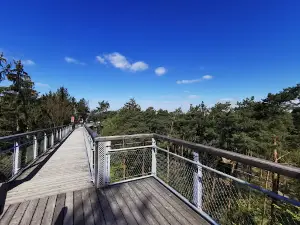Heide Himmel Observation tower