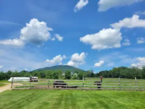 North Meadow Farm