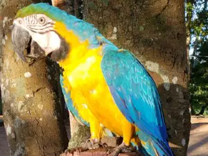 Camping Baía