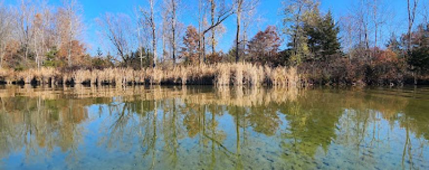 Gun Lake