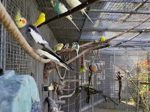 Vogelparadies Birka