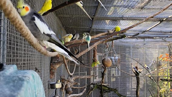 Vogelparadies Birka