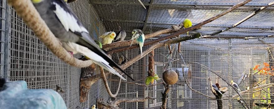 Vogelparadies Birka