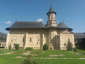 "Veronica Micle" Memorial House