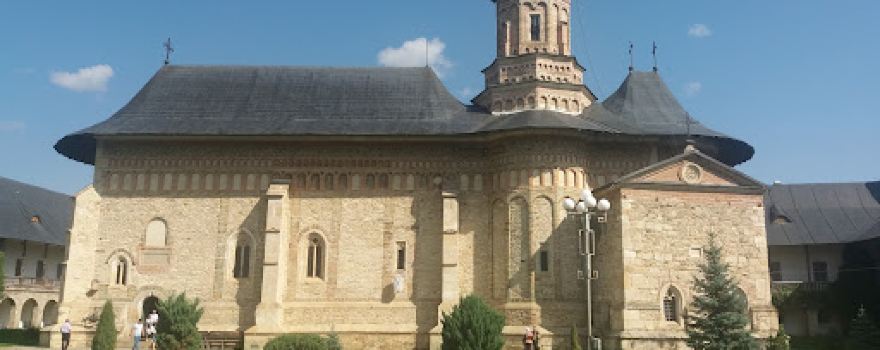 "Veronica Micle" Memorial House
