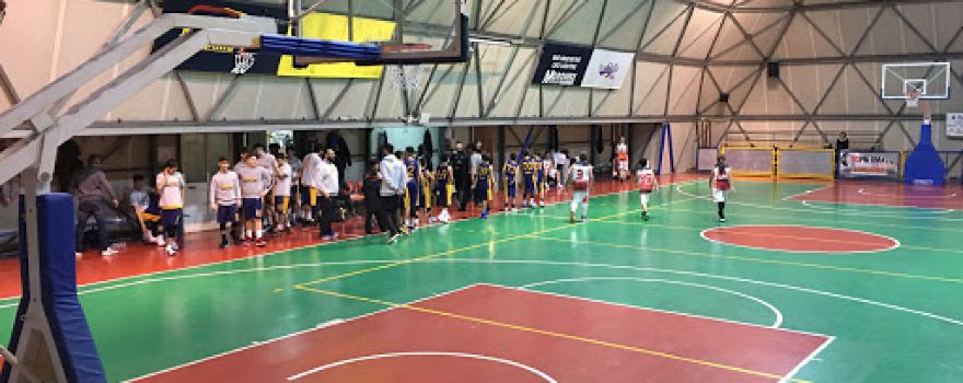 Basket Casapulla