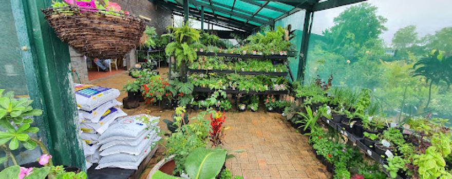Towers Garden Centre
