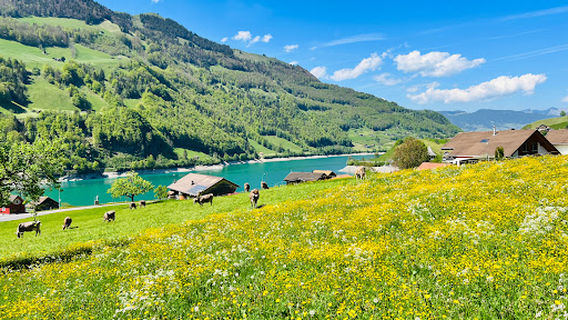 Lungern