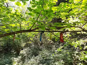 Заказник Горное заделье