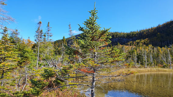 Man in the Mountain Trail Head