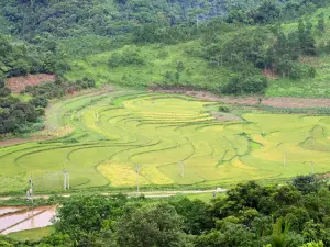 Khu Cắm Trại Đồng Cao
