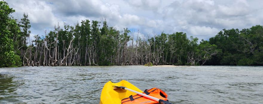 VicTour's Recreational Hub
