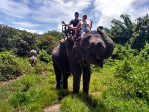 Pattaya Elephant Village