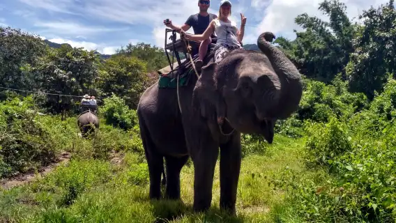 泰國芭達雅真理寺＋芭堤雅大象村一日遊
