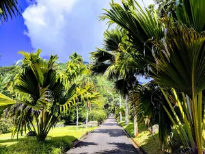 Victoria Botanical Gardens