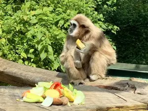 Bioparco di Sicilia