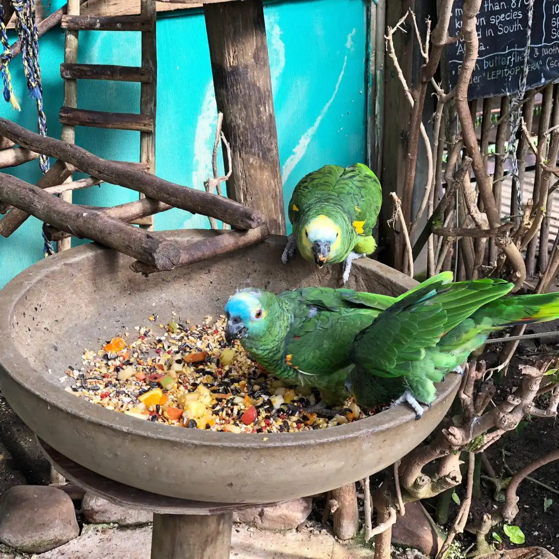 Các khách sạn gần Butterfly World