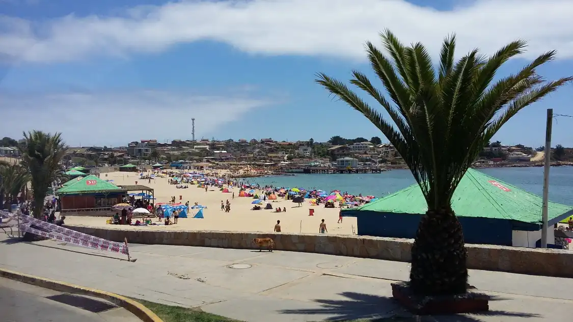 Playa El Quisco附近的飯店