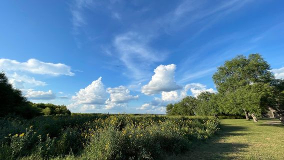 Choke Canyon State Park