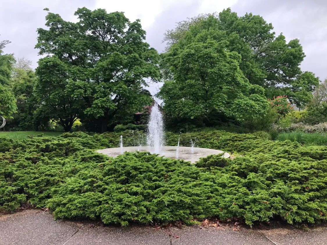 Hotels near Luthy Botanical Garden