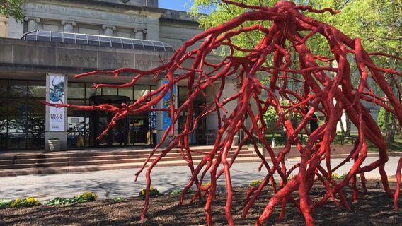 Reading Public Museum