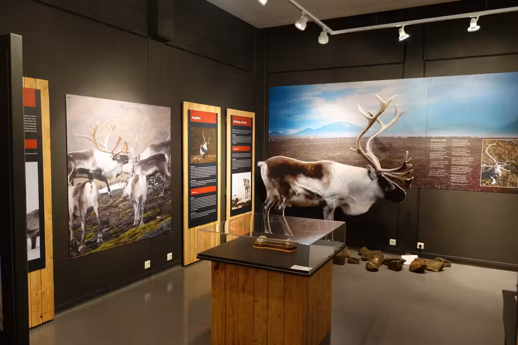 Авиабилеты ${{cityDName}} Эджилсстадир