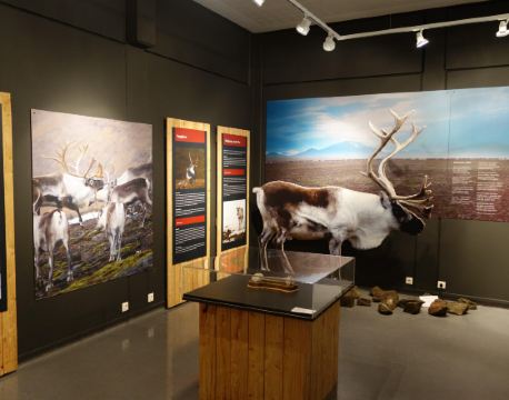 埃伊爾斯塔濟 自由行套票