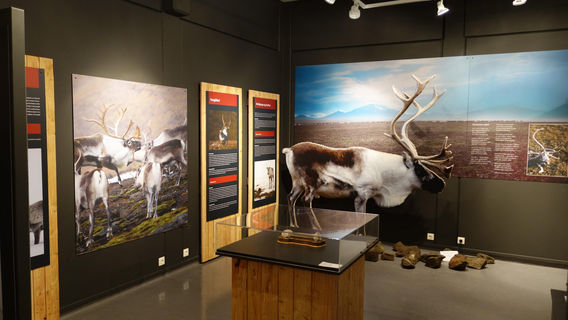 Ostisländisches Kulturerbe Museum