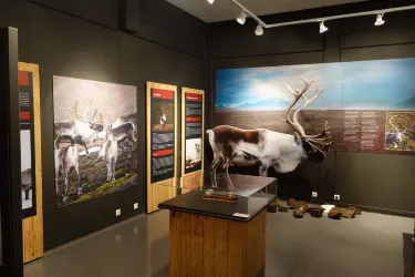East Iceland Heritage Museum