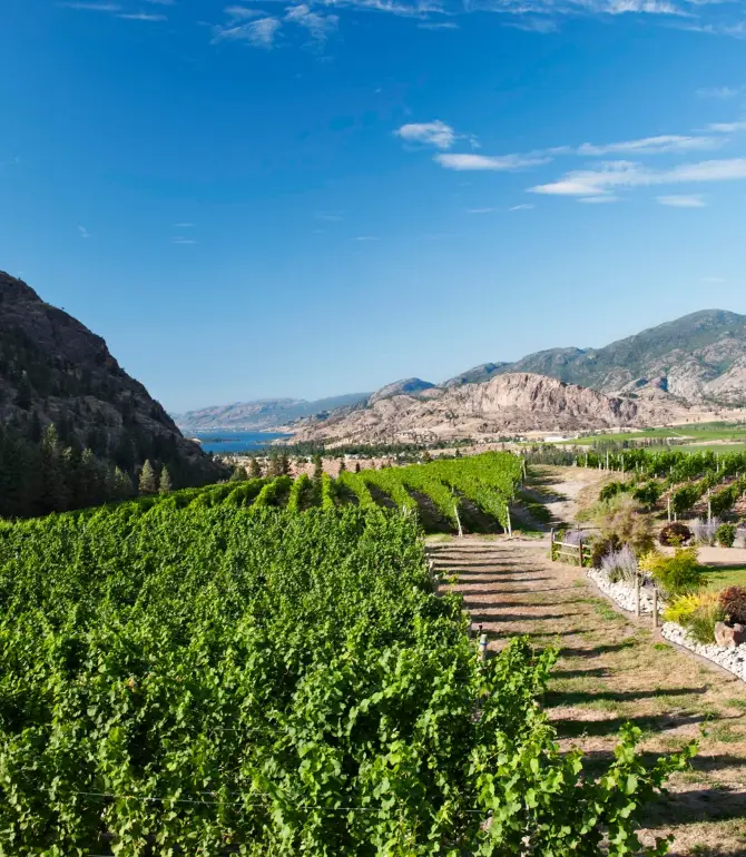 Okanagan Falls