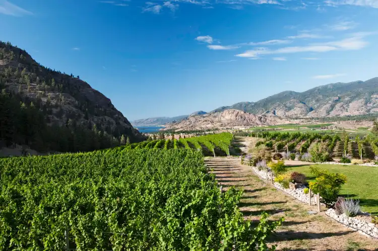 Hotels in Okanagan Falls