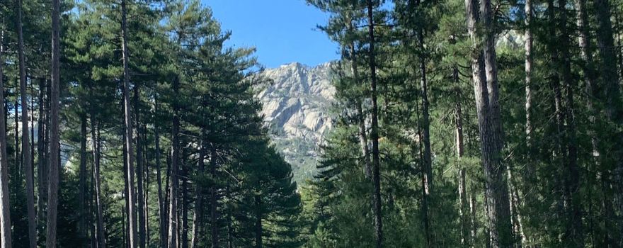 Foret d'Aïtone