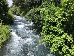 Tel Dan Nature Reserve