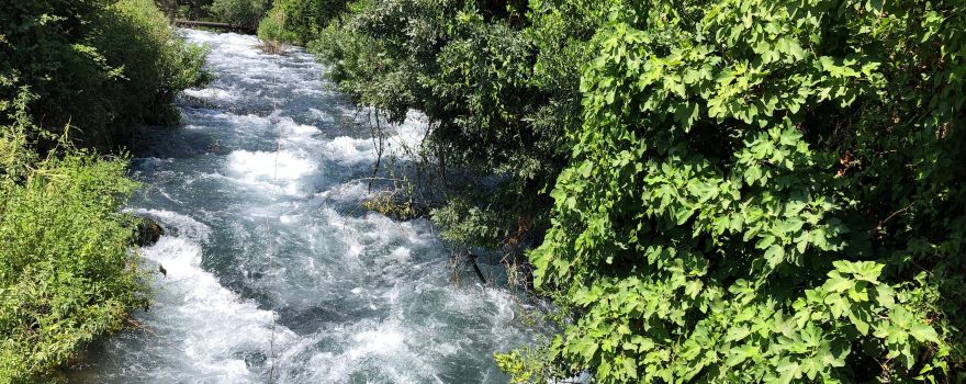 Tel Dan Nature Reserve
