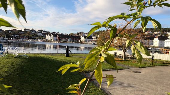 Lillesand Town- and Maritime Museum