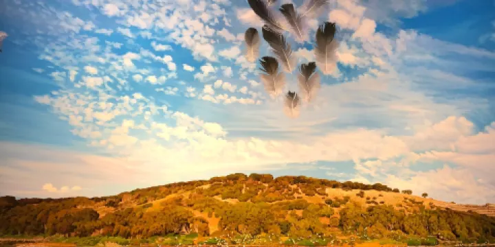 Lismore Regional Gallery