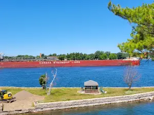 Scenic View Park