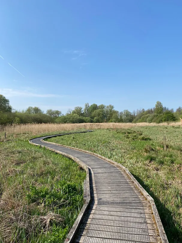 3_Winnall Moors公園