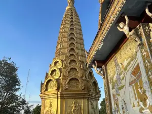 Bat cave of Phnom Sampov