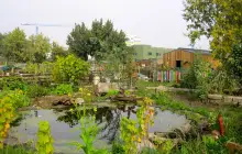 Stepney City Farm