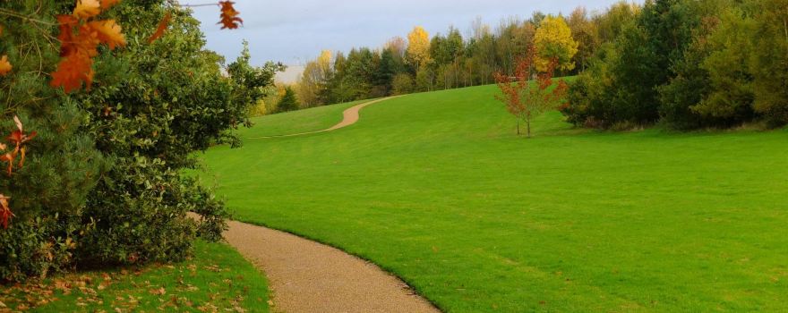 Brackmills Country Park