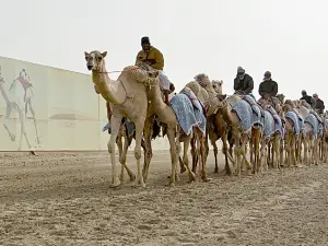 Al Shahaniya Racetrack