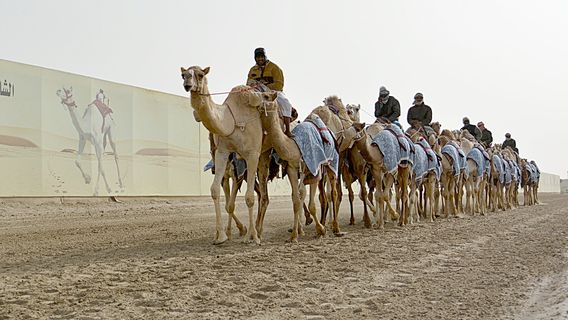 Al Shahaniya Racetrack