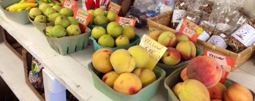 Bashista Orchards
