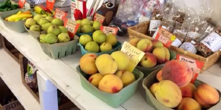 Bashista Orchards and Cider Mill