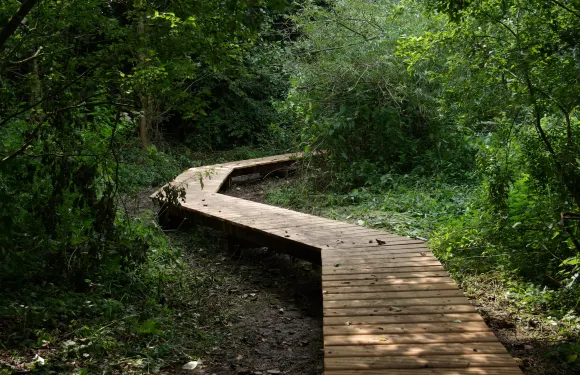 埃爾普斯-克韋普斯