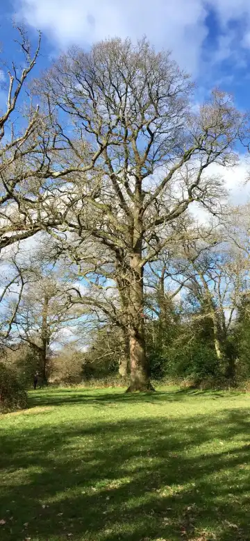 鄰近DoubleTree by Hilton St. Anne's Manor的酒店