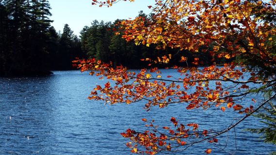 Lowell Lake State Park