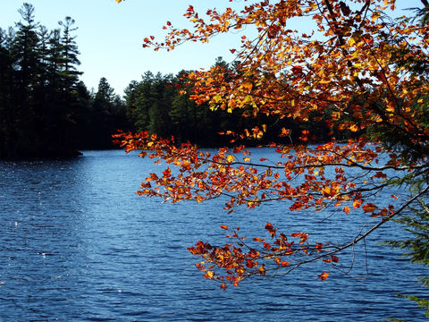 Lowell Lake State Park